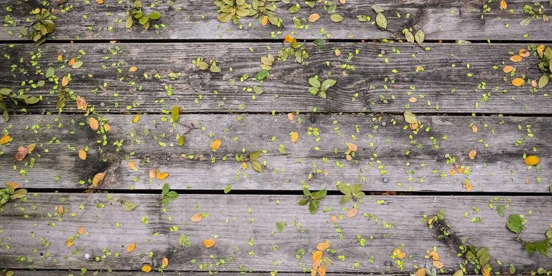 数据驱动决策：服装批发商如何利用销售数据分析预测爆款趋势，精准锁定服装货源
