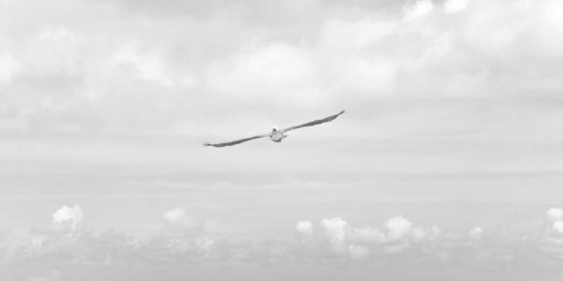 服装2008：品牌服装批发与服饰加盟的数字化转型新机遇