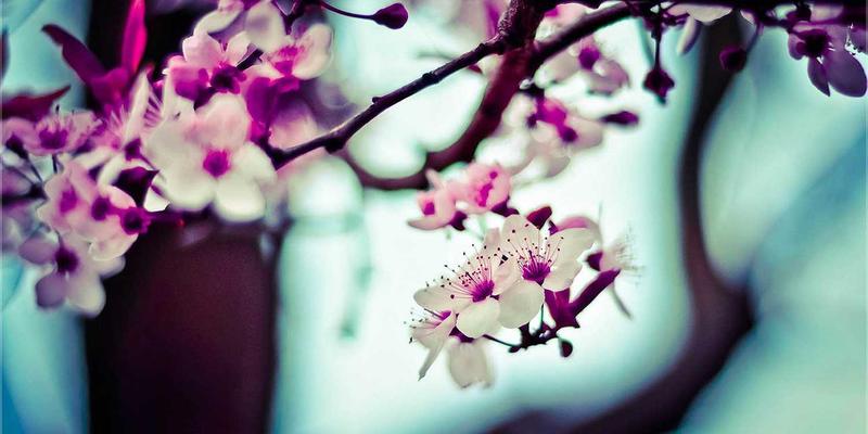 服装加盟店必看：揭秘国潮、复古、森系三大潮流服饰的源头货源