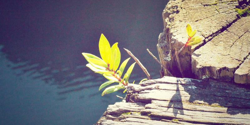 服装批发商如何通过私域流量打造复购闭环：从货源到加盟店的深度运营指南