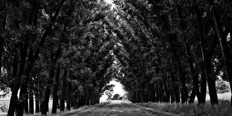 服装批发新纪元：从2008到加盟店模式的深度变革与机遇