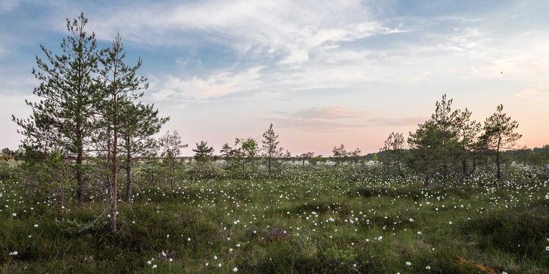 服装批发新纪元:从2008年产业变革看服饰加盟与批发的未来之路