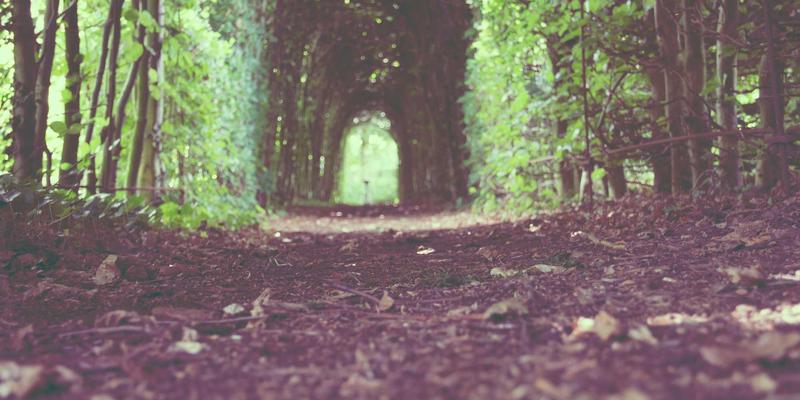 服装批发新纪元：掌握潮流服饰货源，抢占2024市场先机