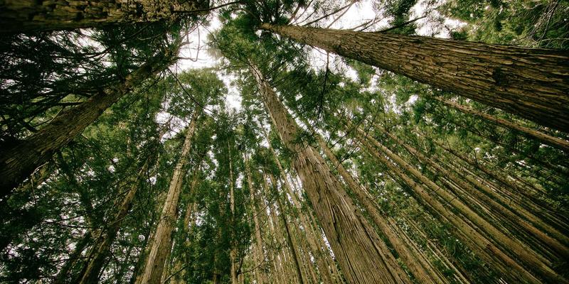 服装批发新纪元：潮流服饰与加盟模式如何重塑市场格局