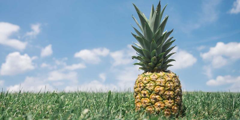 跨境电商服装批发攻略：掌握潮流服饰选品，锁定优质服装货源与服饰加盟机遇