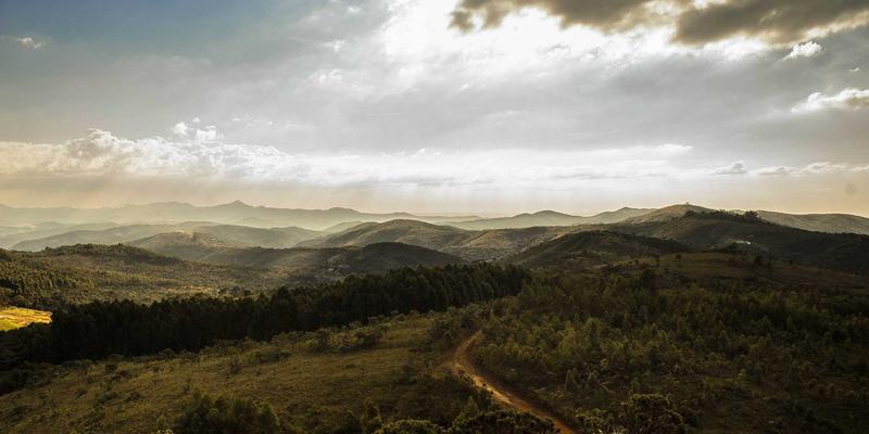 高端女装批发市场全解析：从设计源头到终端零售的利润链条与货源策略